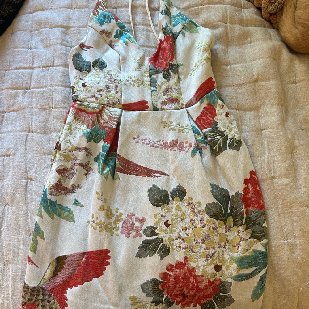 True Decadence Petite dress